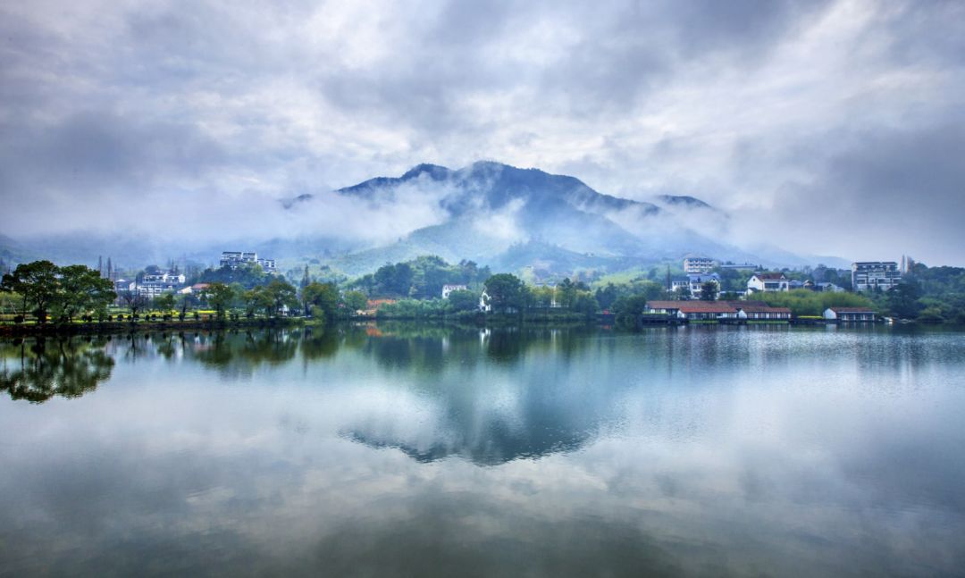 浙江致敬，领导、同事与朋友共聚一堂